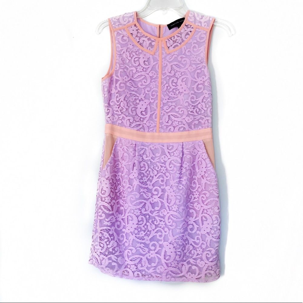 English Rose Spring/Summer Dress